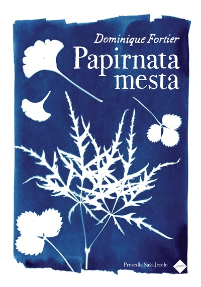 Papirnata mesta