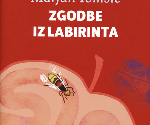 Zgodbe iz labirinta