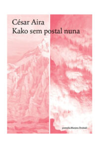 Naslovnica: Kako sem postal nuna : (roman)