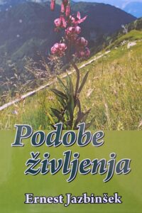 Naslovnica: Podobe življenja : roman