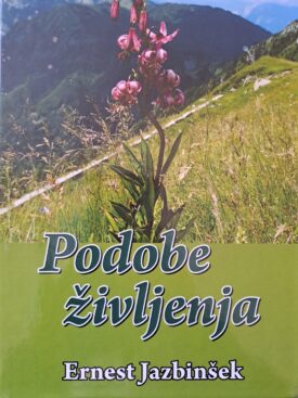 Naslovnica: Podobe življenja : roman