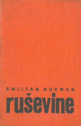 Naslovnica: Ruševine : roman